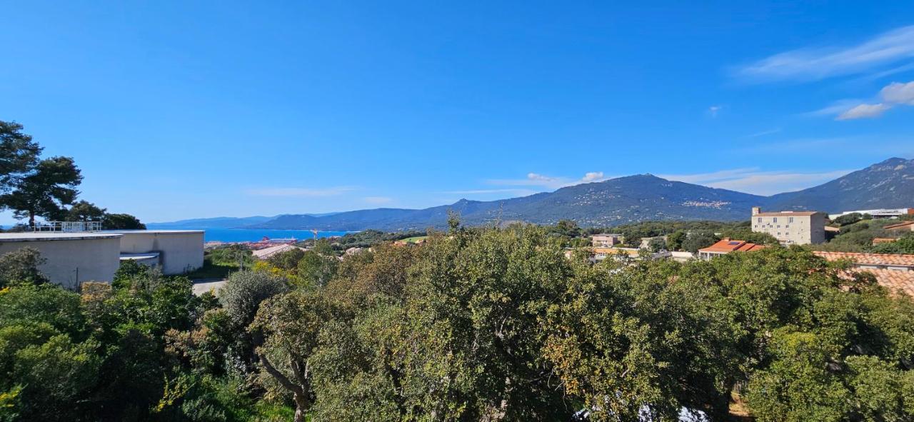 T3 Le Myrte Vue & Montagne Idealement Situe * Propriano (Corsica)